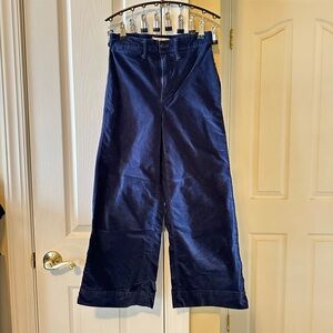 Madewell Emmett Wide-Leg Crop Pants in Velveteen Size 25